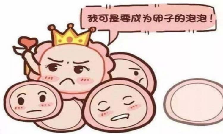 shiguangruapao2