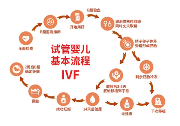 第三代试管婴儿取卵流程及时间线1