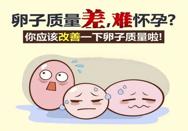 改善卵子质量1
