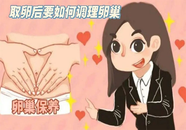 取卵卵巢恢复1