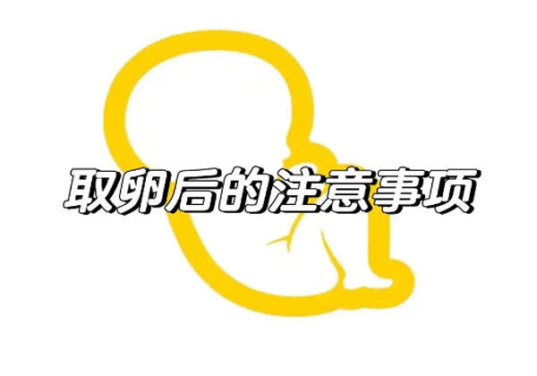 取卵后注意事项1