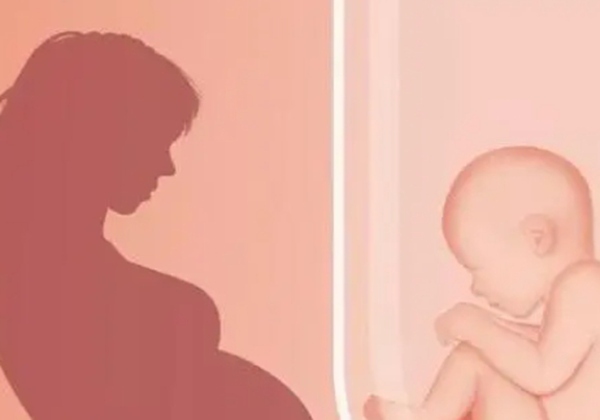 50岁借卵试管成功的人多吗？可以借卵生子的医院