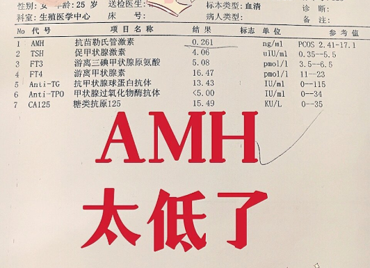 AMH值很低能做试管婴儿吗？AMH低于多少不能做试管婴儿