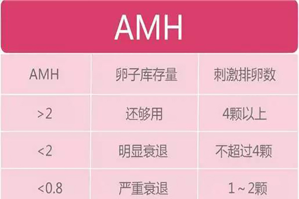 AMH和卵巢功能是一码事吗？AMH值多少为卵巢正常