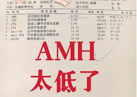 amh值低做试管婴儿成功率高吗？要注意哪些事情？
