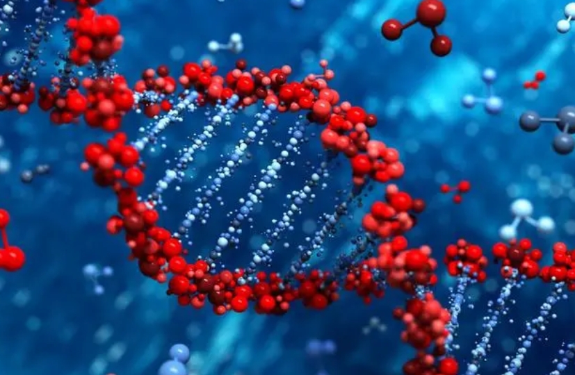 2025年第三代试管包生男孩费用解析及选性别费用明细