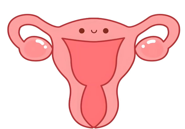 子宫1.jpg
