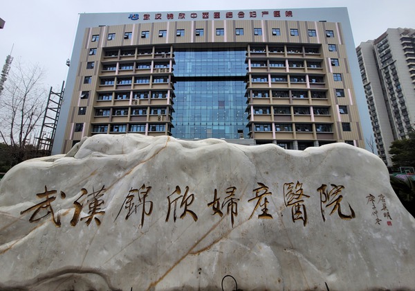 武汉锦欣中西医结合妇产医院.jpg