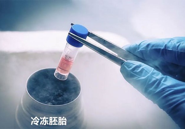 供卵试管043.jpg