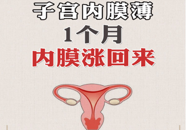 子宫5.jpg