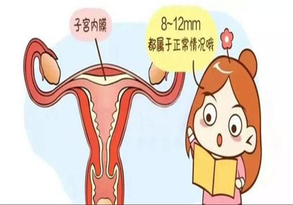 子宫内膜5mm做试管的成功率与优化策略