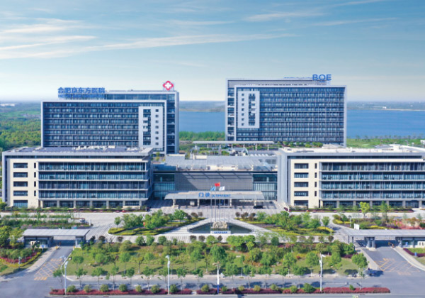 合肥京东方医院